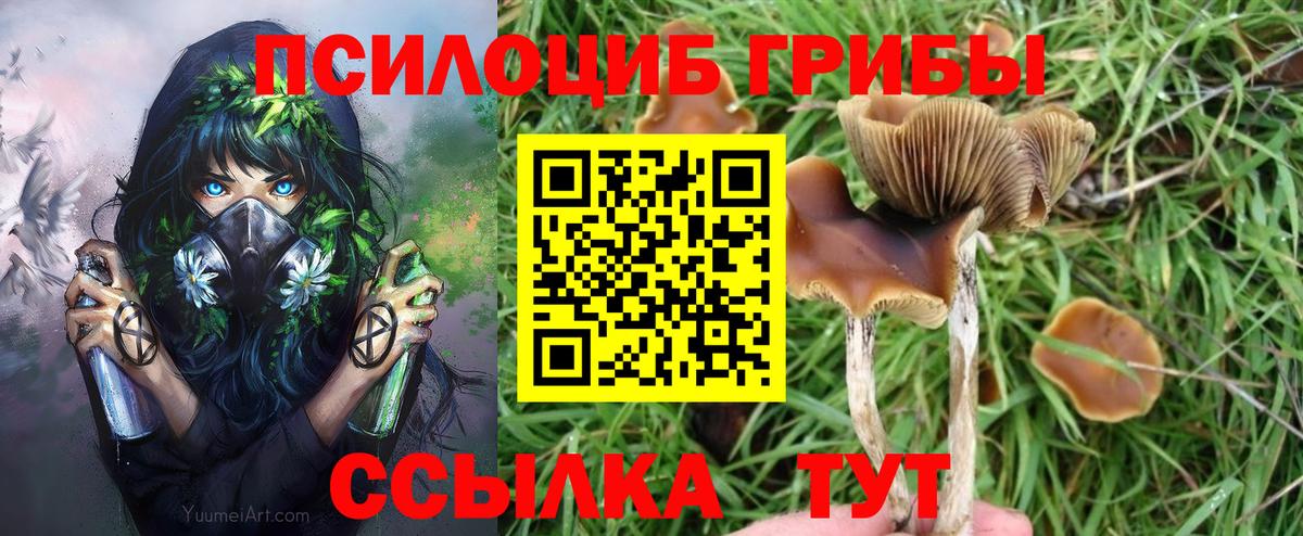 Галлюциногенные грибы Psilocybine cubensis  Вход с VPN  Бутурлиновка  Псилоцибиновые грибы мухоморы 