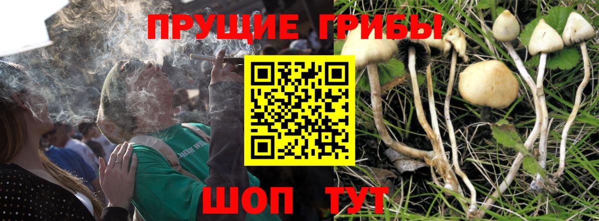 Псилоцибиновые грибы ЛСД Бутурлиновка
